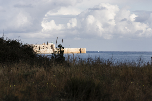 View of the historic Castello Maniace fortress on the coast with wild grass in the foreground and a cloudy sky Syracuse Sicily Italy.