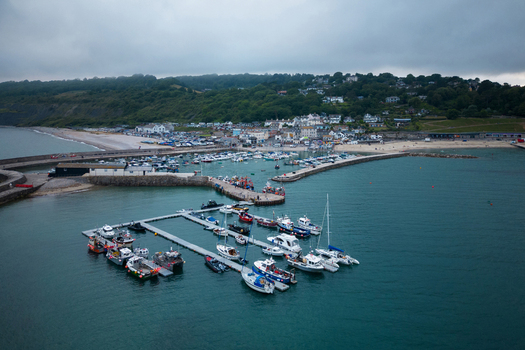 Aerial view of the historic Cobb harbour with numerous boats moored at pontoons and the coastal town nestled against green hills Lyme Regis England United Kingdom.