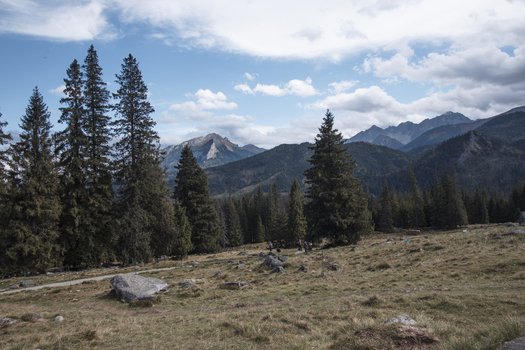 View of the Tatra Mountains landscape featuring pine trees rocky terrain and a blue sky with clouds in Poland. View of the Tatra Mountains landscape featuring pine trees rocky terrain and a blue sky with clouds in Poland.