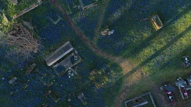 Aerial view of Bernardine Cemetery in Vilnius Lithuania. Aerial view of Bernardine Cemetery in Vilnius Lithuania.