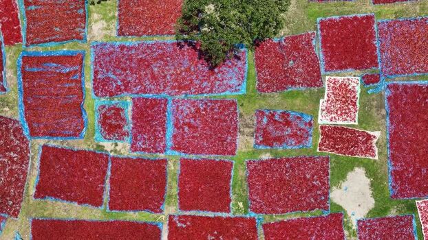 Aerial view of red chili peppers drying on mats Bangladesh. Aerial view of red chili peppers drying on mats Bangladesh.