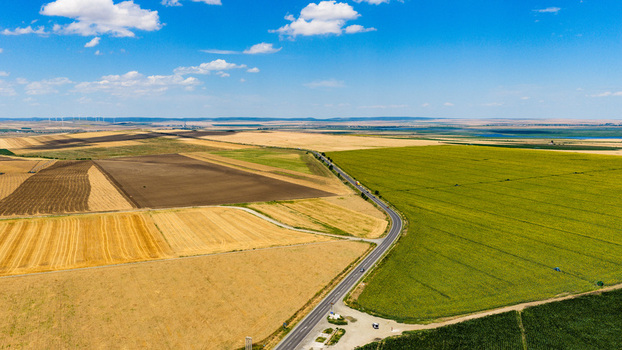Aerial view of agricultural fields including vibrant yellow sunflower crops and harvested grain fields divided by a winding road under a clear blue sky in Tulcea Tulcea Romania. Aerial view of agricultural fields including vibrant yellow sunflower crops and harvested grain fields divided by a winding road under a clear blue sky in Tulcea Tulcea Romania.