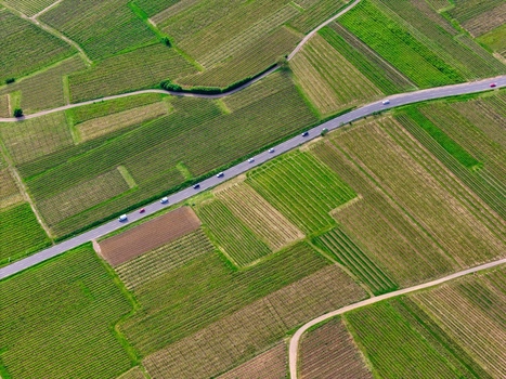 Aerial view of lush green vineyards with a paved road and cars passing through geometric agricultural fields Ribeauville Grand Est France. Aerial view of lush green vineyards with a paved road and cars passing through geometric agricultural fields Ribeauville Grand Est France.