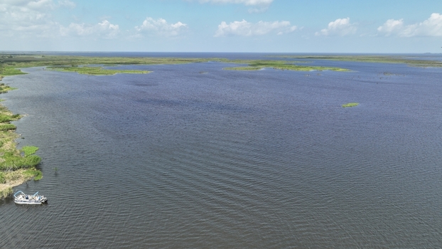 Aerial view of a boat navigating the calm dark waters surrounded by vibrant green marshlands and distant islands Louisiana United States.