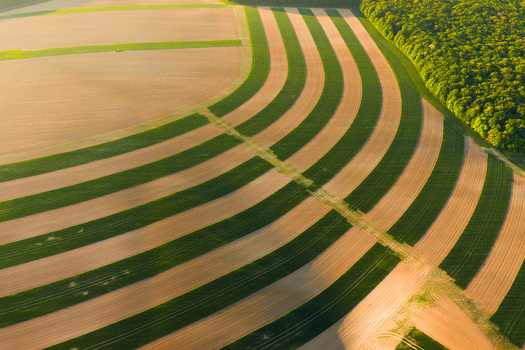 Aerial view of striped agricultural fields with green crops and brown soil next to a lush forest under golden sunlight Chvalkovice Hradec Kralove Region Czechia.