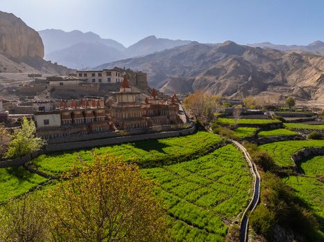 Aerial view of a traditional Himalayan village with red roofed buildings nestled among vibrant green terraced fields and irrigation channels in the rugged mountain landscape of NEPAL.