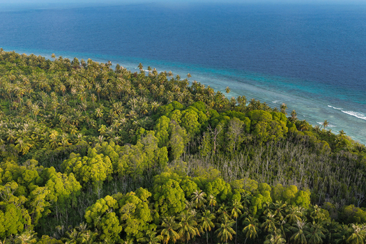 Aerial view of a lush tropical island with dense palm forests white sandy beaches and a vibrant coral reef in Vaikaradhoo Haa Dhaalu Atoll Maldives. Aerial view of a lush tropical island with dense palm forests white sandy beaches and a vibrant coral reef in Vaikaradhoo Haa Dhaalu Atoll Maldives.