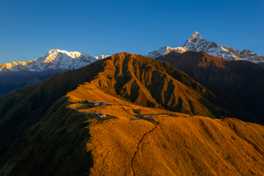 Aerial view of the golden lit grassy ridges of the Himalayas with small mountain huts and snow capped peaks in the background in Nepal.