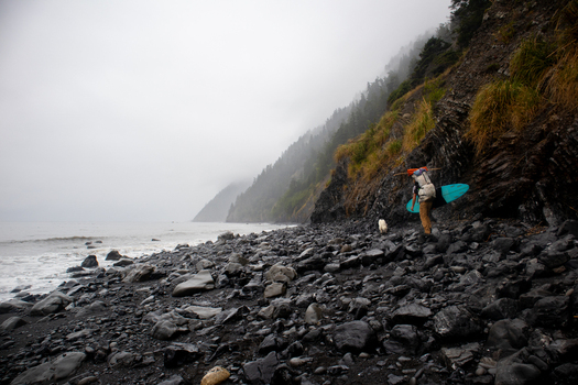 View of a surfer carrying a surfboard and gear walking along the rocky shoreline of the Lost Coast under a misty overcast sky Humboldt County California United States.