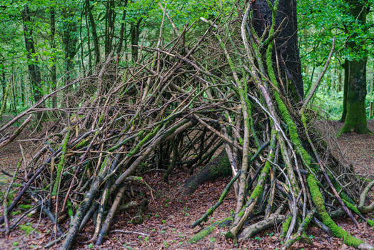 View of a makeshift den constructed from fallen branches and sticks nestled against a moss covered tree trunk in the woodland of Deer Park Looe Cornwall United Kingdom. View of a makeshift den constructed from fallen branches and sticks nestled against a moss covered tree trunk in the woodland of Deer Park Looe Cornwall United Kingdom.
