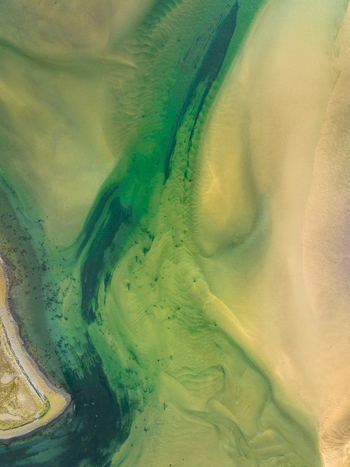 Aerial view of emerald and gold merge in the tidal flats a dance of nature s palette in Rauðisandur Vesturbyggð Iceland. Aerial view of emerald and gold merge in the tidal flats a dance of nature s palette in Rauðisandur Vesturbyggð Iceland.