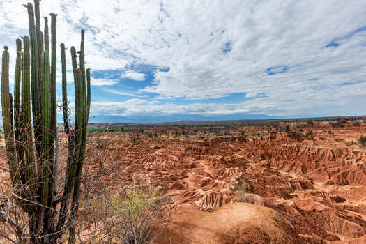 View of the arid landscape of the Tatacoa Desert with a tall cactus in the foreground and eroded red earth formations under a cloudy blue sky in Villavieja Huila Colombia.