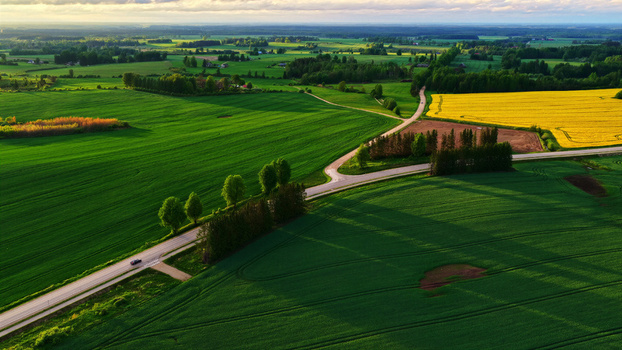 Aerial view of lush green agricultural fields a winding road rows of trees and a vibrant yellow rapeseed field under soft golden hour light Latvija. Aerial view of lush green agricultural fields a winding road rows of trees and a vibrant yellow rapeseed field under soft golden hour light Latvija.
