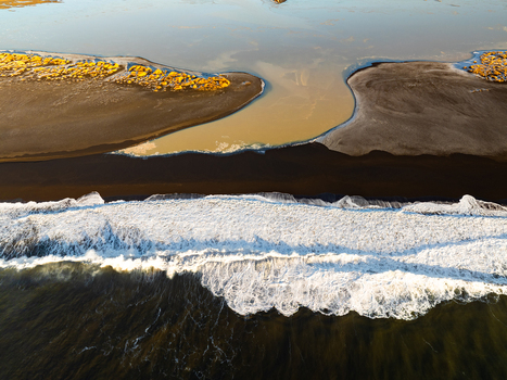 Aerial view of the dramatic coastline featuring dark volcanic sand crashing white waves and a river estuary flowing into the sea with golden mossy terrain in Reykjanesbaer Iceland. Aerial view of the dramatic coastline featuring dark volcanic sand crashing white waves and a river estuary flowing into the sea with golden mossy terrain in Reykjanesbaer Iceland.