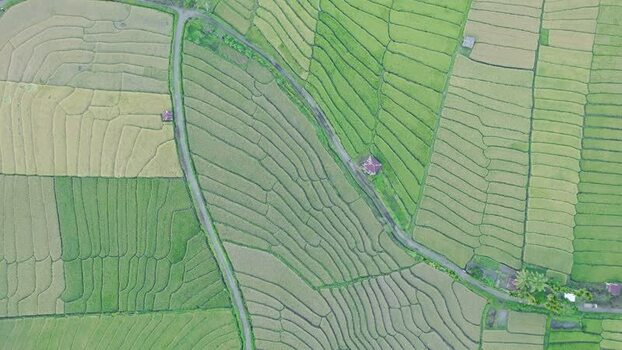 Aerial view of terraced rice fields and winding paths Indonesia. Aerial view of terraced rice fields and winding paths Indonesia.
