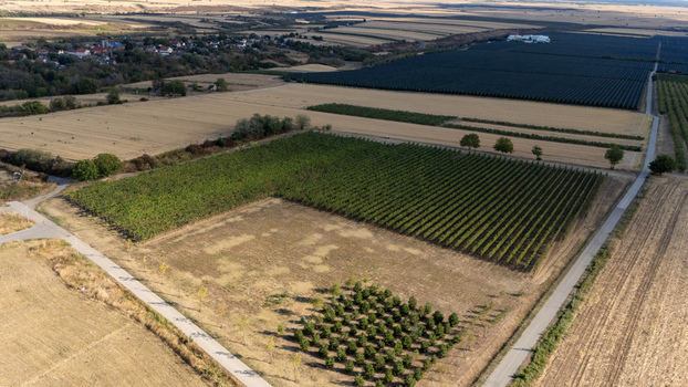 Aerial view of the Deuric winery vineyards and orchards surrounded by agricultural fields and rural landscape in Mala Remeta Vojvodina Serbia. Aerial view of the Deuric winery vineyards and orchards surrounded by agricultural fields and rural landscape in Mala Remeta Vojvodina Serbia.