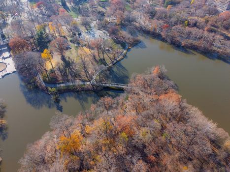 Aerial view of The Lake in Central Park reflects the fading autumnal light casting long shadows across the tranquil water Manhattan New York United States.