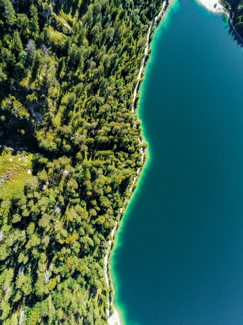 Aerial view of Plansee lake surrounded by dense coniferous forests and rocky shorelines in Reutte District Tyrol Austria. Aerial view of Plansee lake surrounded by dense coniferous forests and rocky shorelines in Reutte District Tyrol Austria.