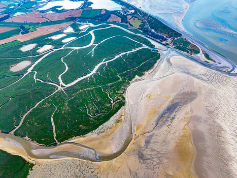 Aerial view of Baie de Somme showing winding tidal channels lush green salt marshes and expansive sandy flats in Saint Valery sur Somme Hauts de France France. Aerial view of Baie de Somme showing winding tidal channels lush green salt marshes and expansive sandy flats in Saint Valery sur Somme Hauts de France France.