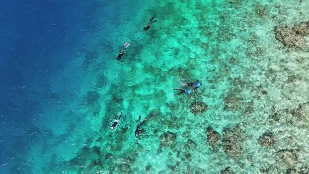 Aerial view of people snorkeling over a coral reef Maldives.