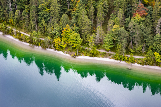 Aerial view of a tranquil forest meeting the clear turquoise waters of Plansee a scene of vibrant autumn colors and serene reflections Plansee Tyrol Austria. Aerial view of a tranquil forest meeting the clear turquoise waters of Plansee a scene of vibrant autumn colors and serene reflections Plansee Tyrol Austria.