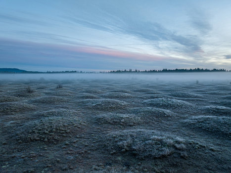 Aerial view of the unique geological formations at Mima Mounds Natural Area Preserve covered in morning mist under a soft dawn sky Olympia Washington United States.