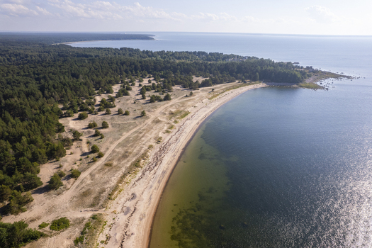 Aerial view of the sandy coastline and pine forests of the Parispea Peninsula showing the clear blue water of the Baltic Sea in Parispea Harju County Estonia.