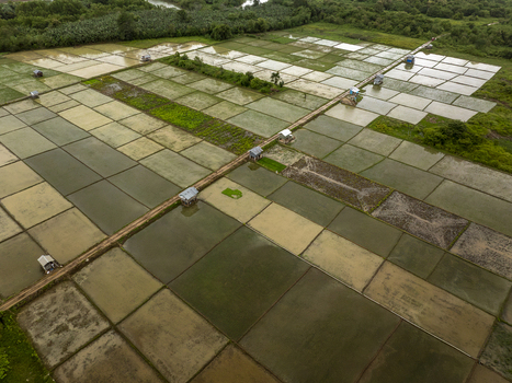 Aerial view of rice paddies with small huts in the rural landscape of Sumbawa West Nusa Tenggara Indonesia. Aerial view of rice paddies with small huts in the rural landscape of Sumbawa West Nusa Tenggara Indonesia.
