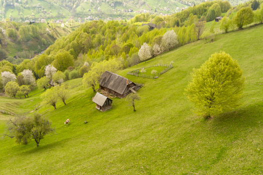 Aerial view of traditional wooden houses nestled on a lush green hillside in the rural landscape of Bran Brasov Romania.