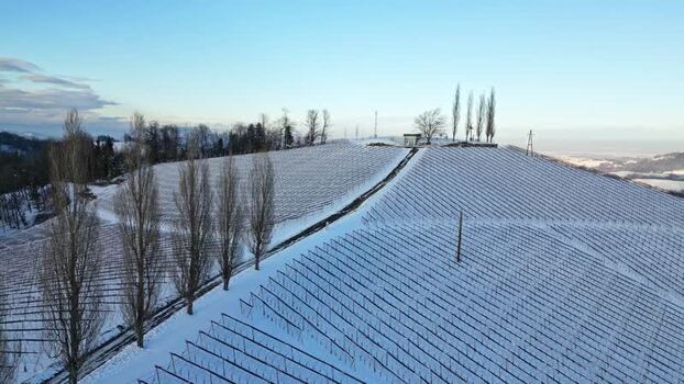 Aerial view of snow covered Lubekogel vineyard Austria. Aerial view of snow covered Lubekogel vineyard Austria.