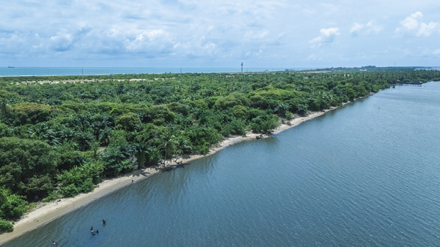 Aerial view of the lush tropical coastline with dense palm trees and people swimming in the calm blue waters of the lagoon Badagry Lagos Nigeria.