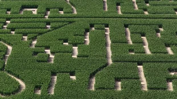 Aerial view of Labyrinthe de mais in Soultz Haut Rhin France.