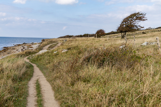 View of a coastal path along the grassy cliffs of Hindsholm with a windswept tree and rocky shoreline in Kerteminde Kerteminde Municipality Denmark. View of a coastal path along the grassy cliffs of Hindsholm with a windswept tree and rocky shoreline in Kerteminde Kerteminde Municipality Denmark.