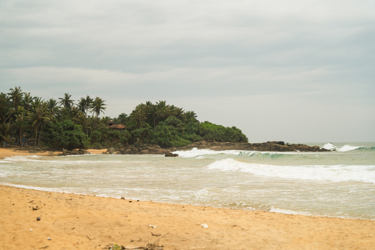 View of a tropical beach with golden sand crashing waves and lush palm trees along the coastline in Dodanduwa Southern Province Sri Lanka. View of a tropical beach with golden sand crashing waves and lush palm trees along the coastline in Dodanduwa Southern Province Sri Lanka.