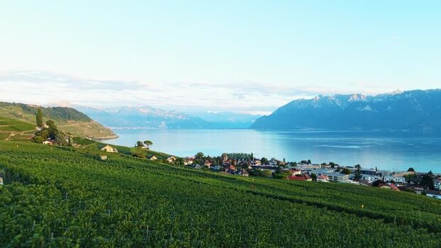 Aerial view of Cully vineyards and Lake Geneva Switzerland.