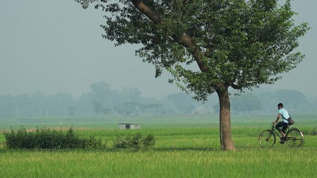 View of a man riding a bicycle through green fields in Bangladesh.