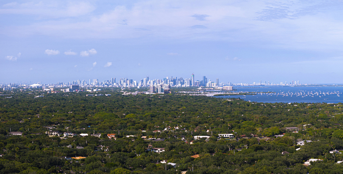 Aerial view of the lush green tree canopy and residential neighborhoods with the Miami skyline and Biscayne Bay in the distance in Coral Gables Florida United States.