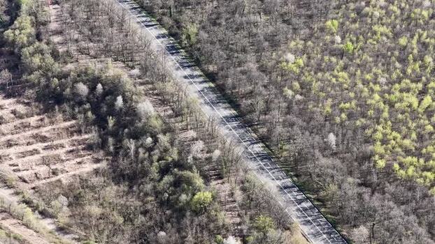 Aerial view of road cutting through forest France.