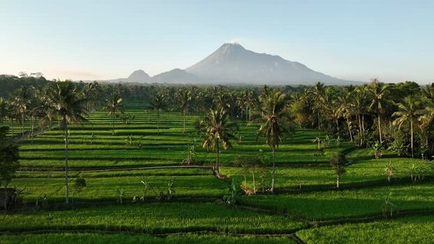 Aerial view of Mount Merapi and rice terraces in Indonesia.
