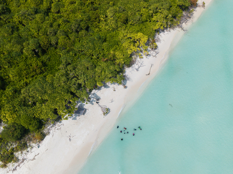 Aerial view of dense green forest pristine white sand and dazzling turquoise sea with swimmers Thuraakunu Thiladhunmathee Uthuruburi Maldives. Aerial view of dense green forest pristine white sand and dazzling turquoise sea with swimmers Thuraakunu Thiladhunmathee Uthuruburi Maldives.