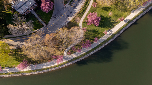Aerial view of Brookline Reservoir with blooming pink cherry blossom trees walking paths and green lawns in Brookline Massachusetts United States. Aerial view of Brookline Reservoir with blooming pink cherry blossom trees walking paths and green lawns in Brookline Massachusetts United States.