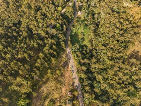 Aerial view of a winding asphalt road cutting through a dense green forest in the mountainous landscape of Jarabacoa La Vega Province Dominican Republic.