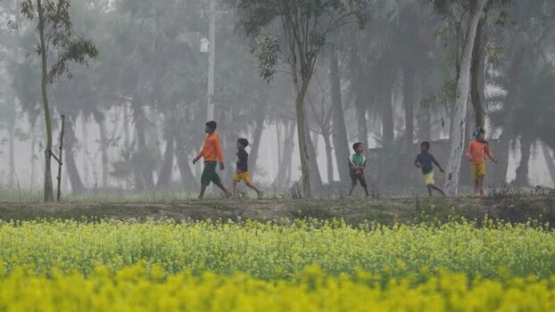 View of children walking past a mustard field in Bogura Bangladesh. View of children walking past a mustard field in Bogura Bangladesh.