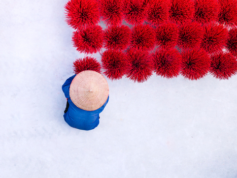 Aerial view of a worker wearing a traditional conical hat and blue clothing arranging bundles of vibrant red incense sticks on the ground in Vietnam. Aerial view of a worker wearing a traditional conical hat and blue clothing arranging bundles of vibrant red incense sticks on the ground in Vietnam.
