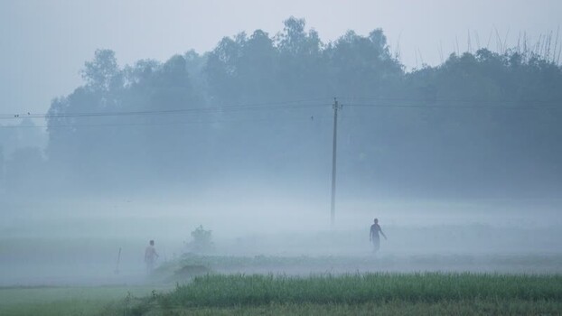 View of people walking through a foggy rural field Bangladesh. View of people walking through a foggy rural field Bangladesh.