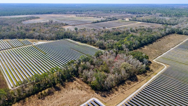 Aerial view of solar panels glinting under the sun juxtaposed against the dark dense woods creating a stark contrast in textures and tones Elkton Florida United States. Aerial view of solar panels glinting under the sun juxtaposed against the dark dense woods creating a stark contrast in textures and tones Elkton Florida United States.