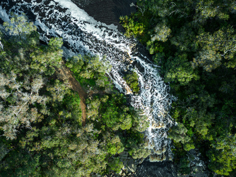 Aerial view of the Kalgan River flowing through dense native forest with white water rapids and rocky banks Kalgan Western Australia Australia. Aerial view of the Kalgan River flowing through dense native forest with white water rapids and rocky banks Kalgan Western Australia Australia.