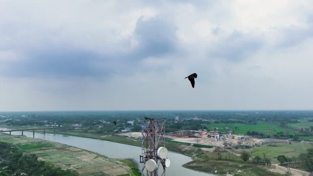 Aerial view of a telecommunication tower and a flying bird. Aerial view of a telecommunication tower and a flying bird.