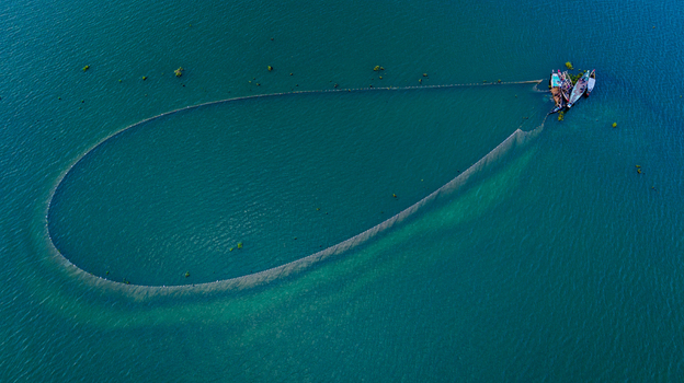 Aerial view of traditional fishing nets arranged in a large loop in the clear blue waters of Kaptai Lake with small wooden boats nearby in Rangamati Chittagong Division Bangladesh.