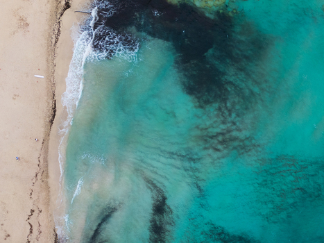 Aerial view of the turquoise waters and sandy shoreline of Cala Mendia beach with gentle waves and dark seaweed patches Cala Mendia Illes Balears Spain. Aerial view of the turquoise waters and sandy shoreline of Cala Mendia beach with gentle waves and dark seaweed patches Cala Mendia Illes Balears Spain.